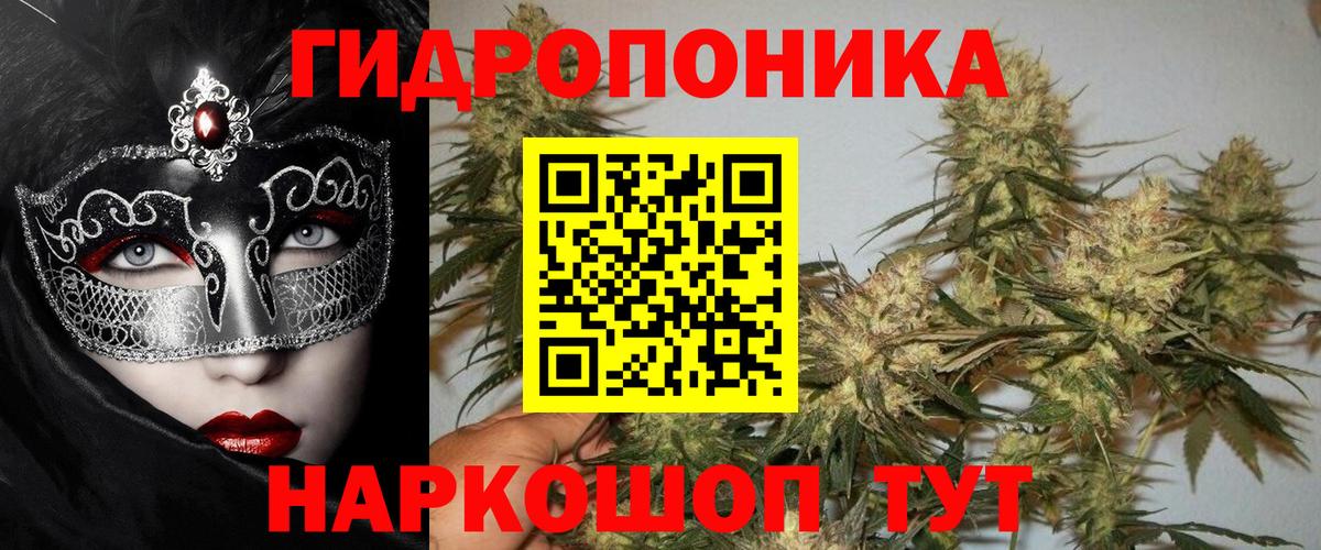 Чернушка  Марихуана LSD WEED  Вход с VPN  Бошки Шишки гибрид  Шишки марихуана тримм 